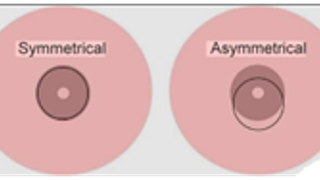 Asymmetrical Latch